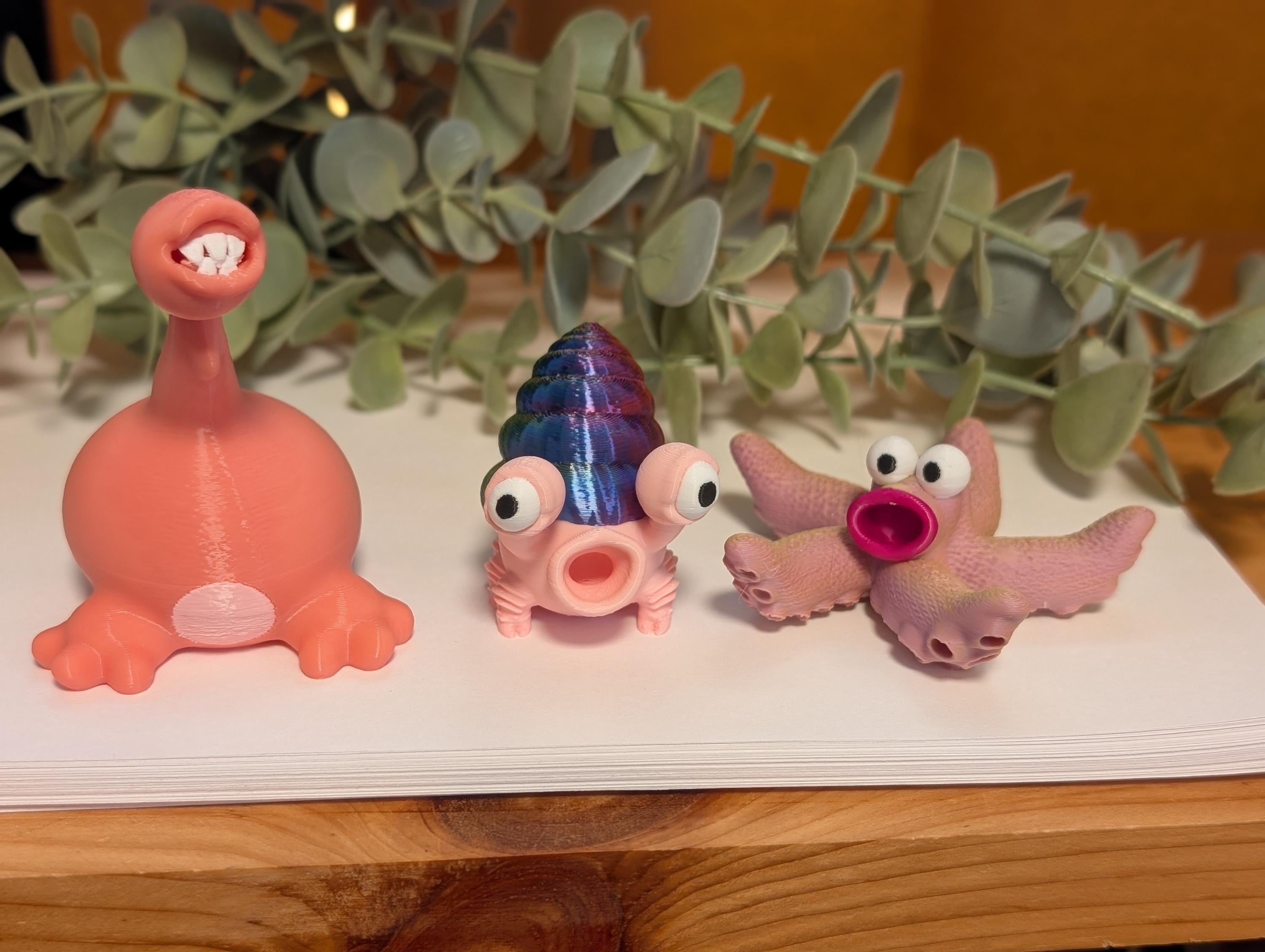 Whimsical Shell Dwelling Desk Companion