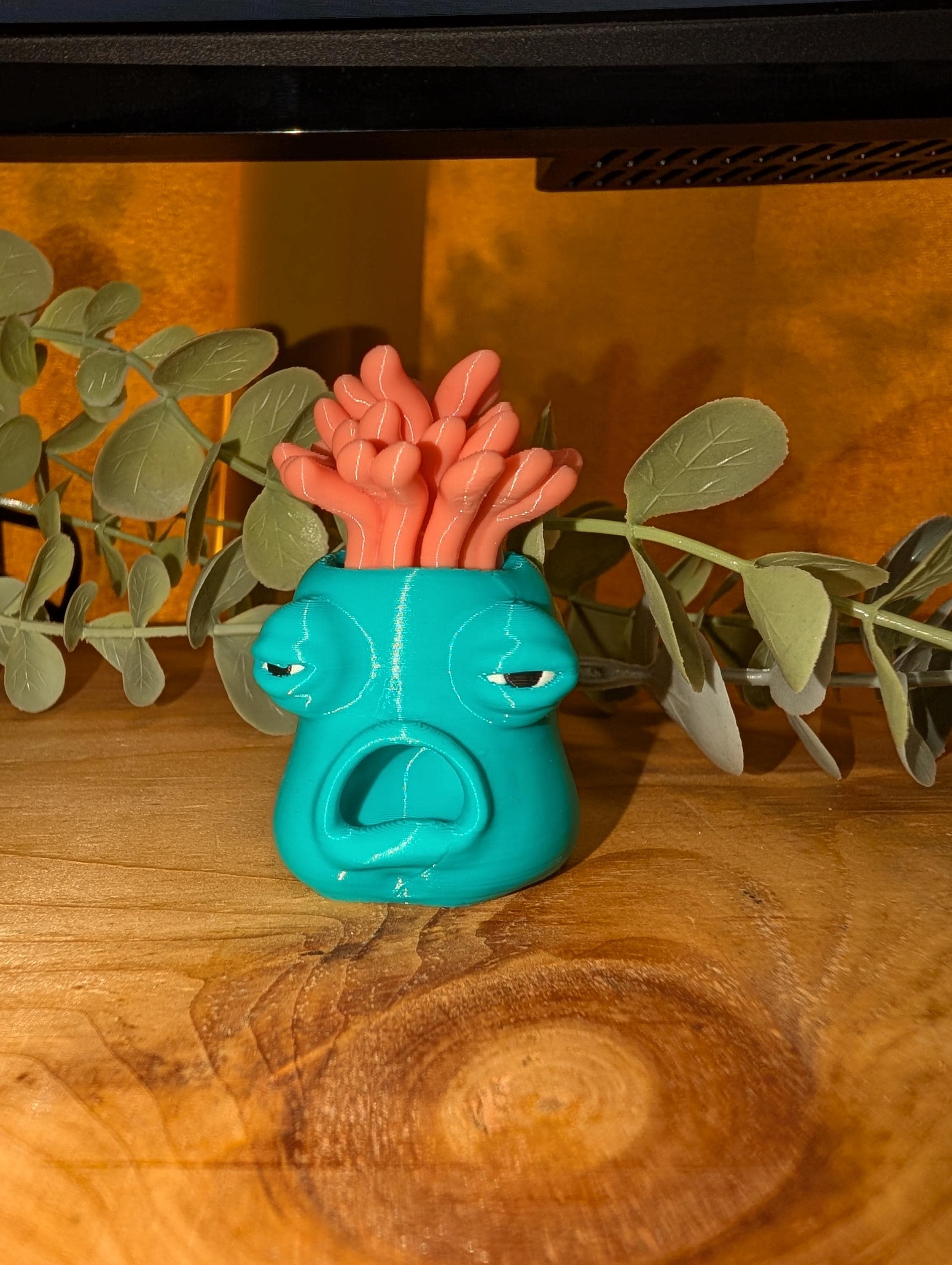 Cory, The Exhausted Sea Anemone - Pocket Full of Loonies