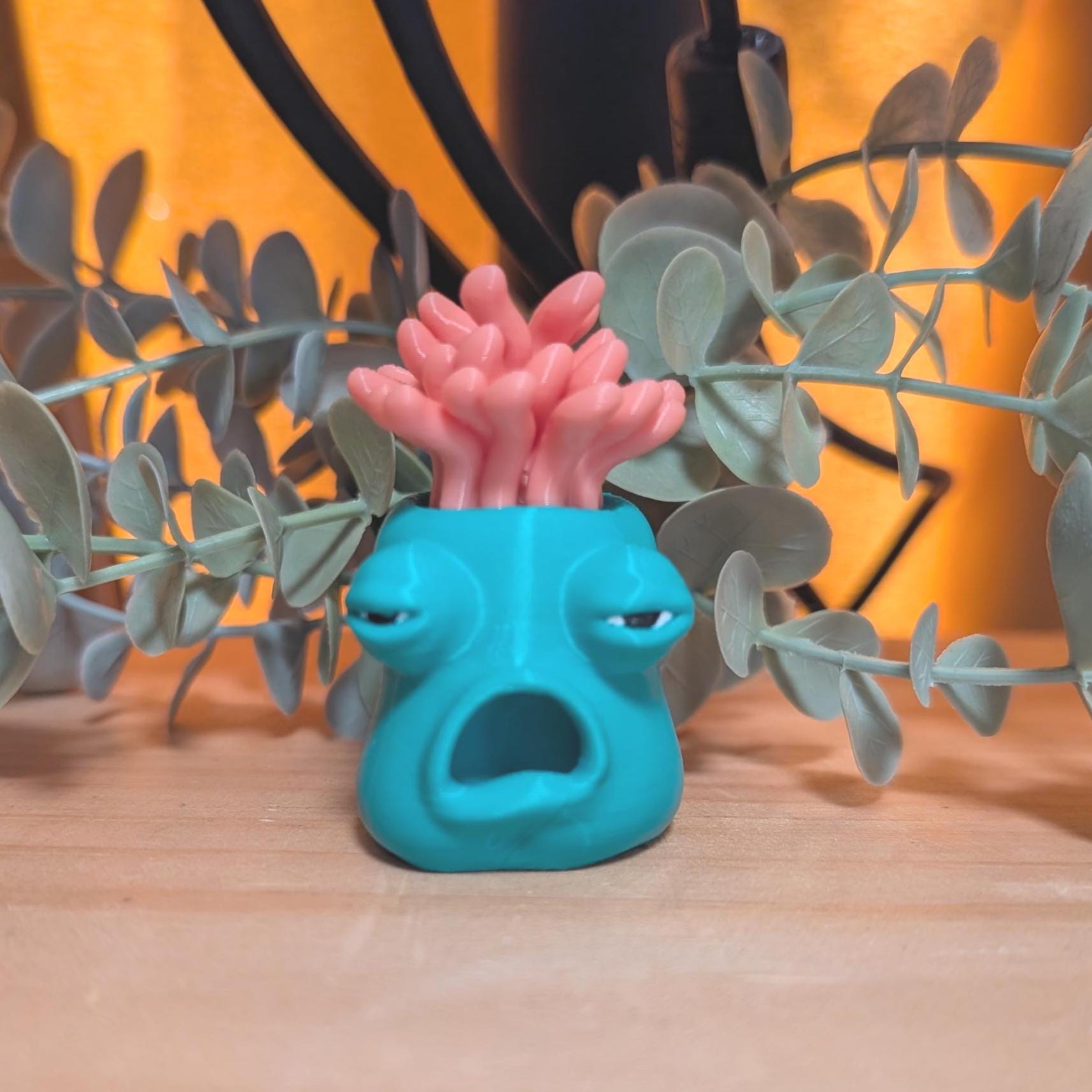 Cory, The Exhausted Sea Anemone - Pocket Full of Loonies