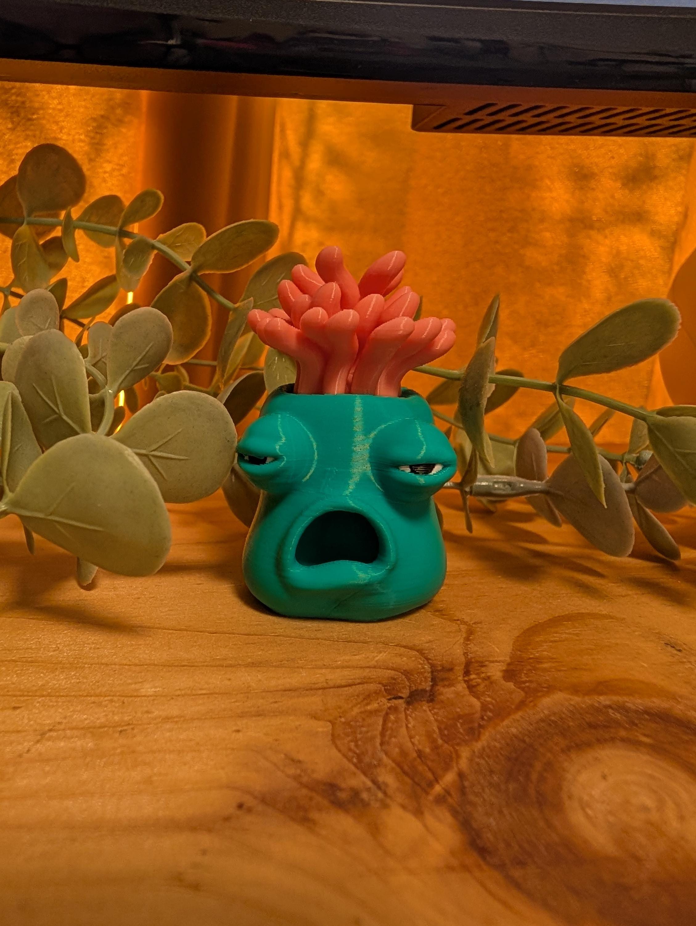 Cory, The Exhausted Sea Anemone - Pocket Full of Loonies