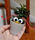 Funny Martian Eyes Plant Decor, Silly Plant Buddy, Quirky Plant Shelf Decor