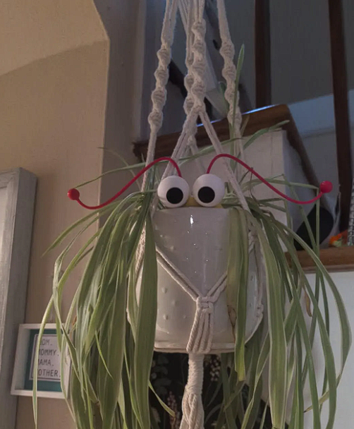 Funny Martian Eyes Plant Decor, Silly Plant Buddy, Quirky Plant Shelf Decor