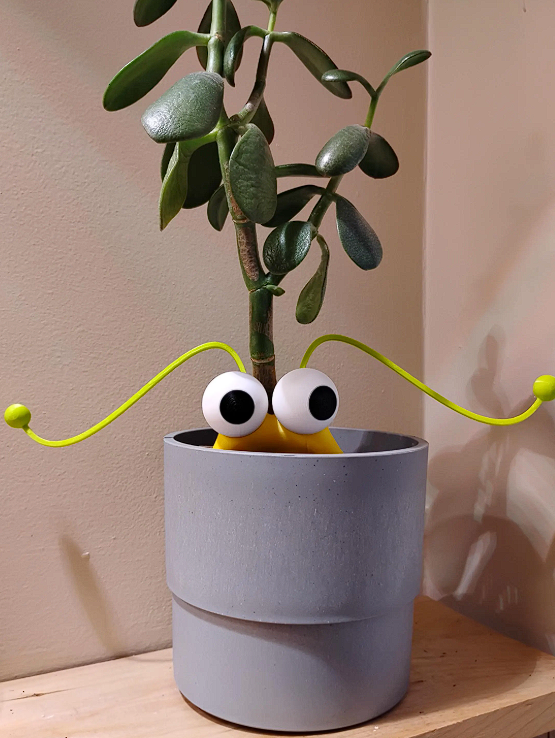 Funny Martian Eyes Plant Decor, Silly Plant Buddy, Quirky Plant Shelf Decor