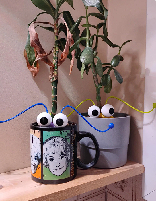 Funny Martian Eyes Plant Decor, Silly Plant Buddy, Quirky Plant Shelf Decor