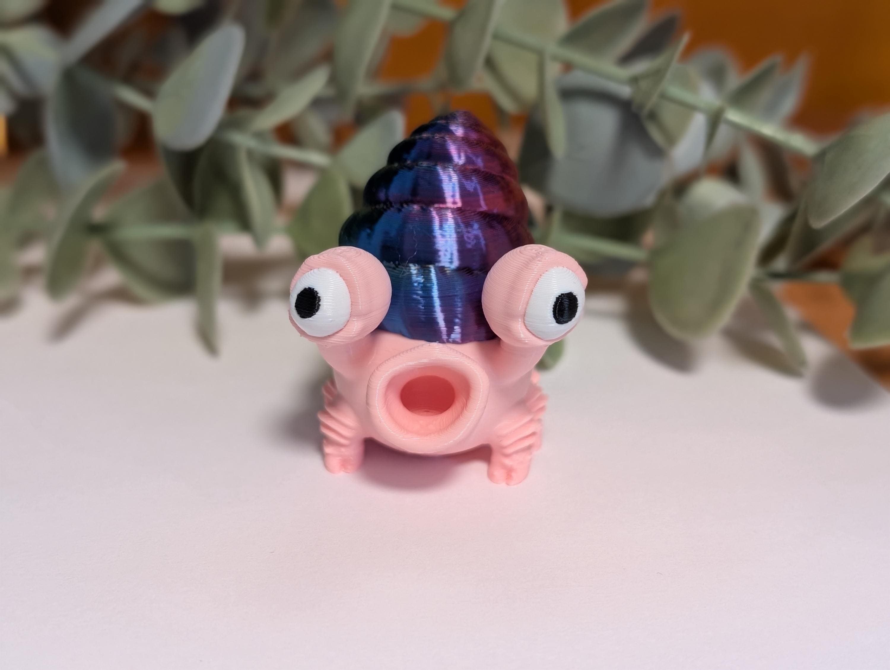 Whimsical Shell Dwelling Desk Companion