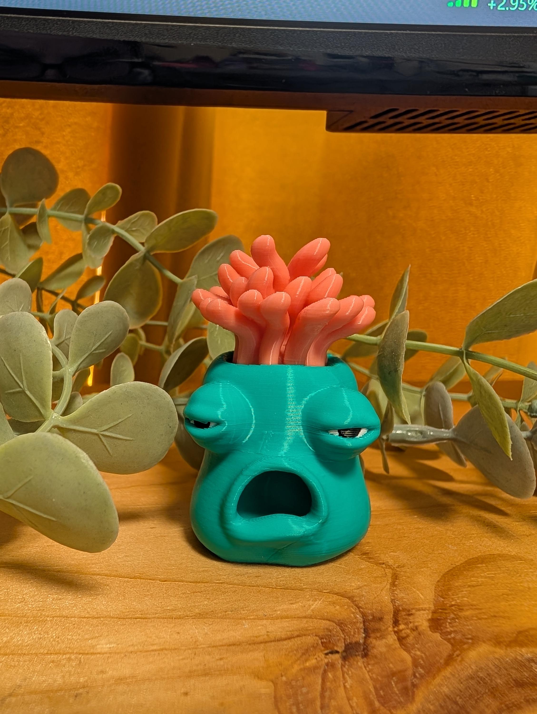 Cory, The Exhausted Sea Anemone - Pocket Full of Loonies